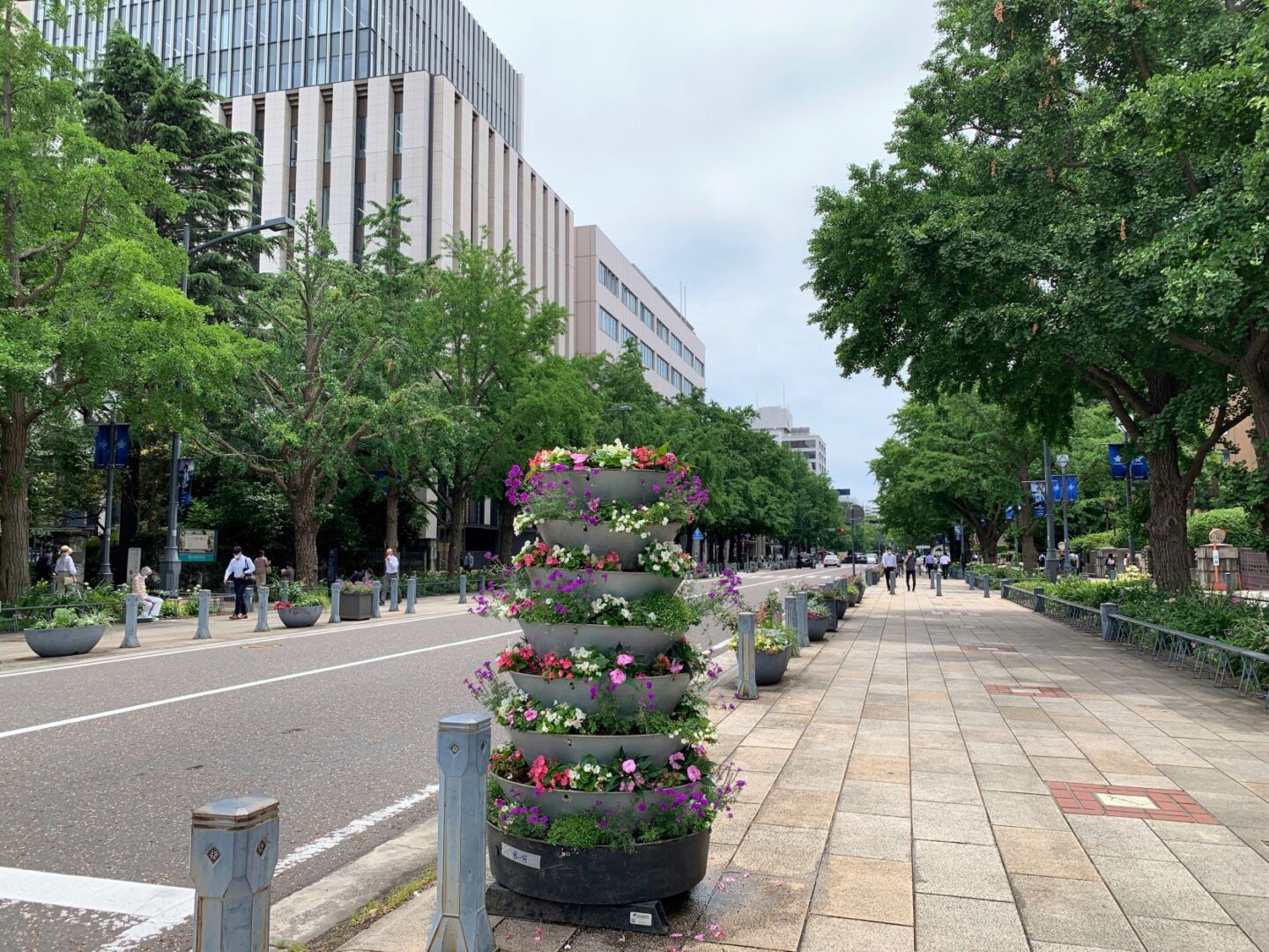日本大通り（神奈川県庁付近から横浜公園方面をのぞむ）